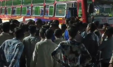 यात्री बस ने गोवंश को रौंदा:गौ सेवकों ने पुलिस को दी सूचना, ड्राइवर फरार, बस जब्त