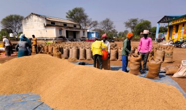 बालोद जिले में समर्थन मूल्य पर धान खरीदी कार्य सफलतापूर्वक जारी,