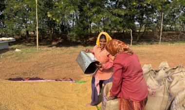 रायपुर : खरीफ उपार्जन शुरू होते ही धमतरी में लौटी रौनक,ईश्वरी–विद्या जैसी महिलाएँ बनीं आत्मनिर्भरता की मिसाल,,,