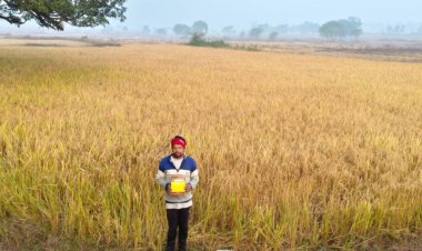 रायपुर : ग्रामीणों की मेहनत और मनरेगा की मदद से ग्राम भखार की खरपोली तालाब बना जल संसाधन