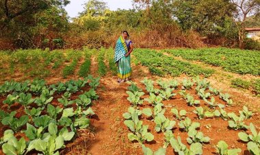 राष्ट्रीय ग्रामीण आजीविका मिशन ‘बिहान’ से बदली तकदीर, आत्मनिर्भरता की बनी मिसाल  