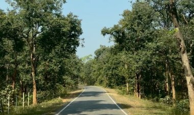 पीएम जनमन योजना से बदली ग्राम बांसकुड़ा कमार बस्ती की तस्वीर