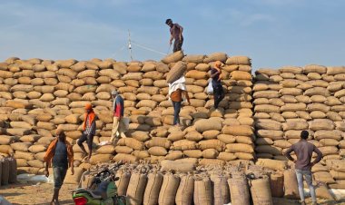 सरगुजा जिले में धान उपार्जन की तेज प्रगति, पारदर्शी व्यवस्था से किसानों को मिल रहा लाभ  