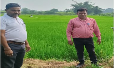 वैज्ञानिक खेती से भूखनलाल सोंचे की आर्थिक स्थिति में आया बड़ा सुधार  