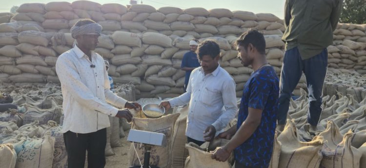 धान बिक्री से साकार हो रहे सपने : किसान अजय करेंगे भतीजे की शादी, समर्थन मूल्य से बढ़ा भरोसा    