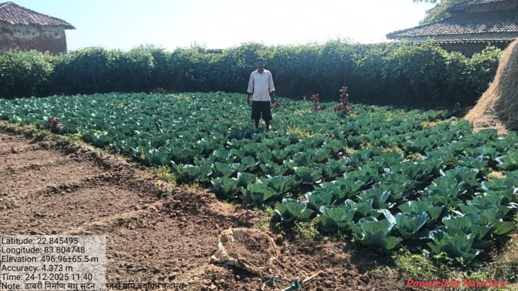 डबरी बनी मधुसूदन के लिए स्थायी आजीविका का आधार : मनरेगा से बदली किसान की तकदीर, जल संरक्षण के साथ बढ़ी आय      