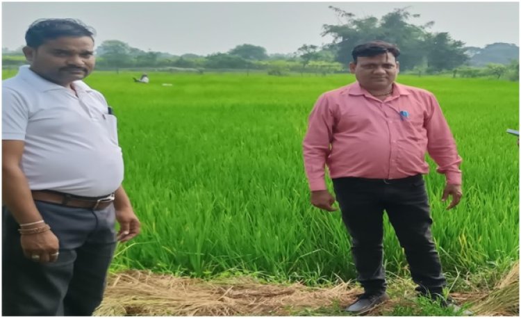 वैज्ञानिक खेती से भूखनलाल सोंचे की आर्थिक स्थिति में आया बड़ा सुधार  