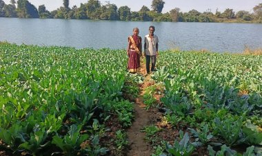 जैविक खेती की ओर किसानों का बढ़ता रुझान : प्राकृतिक खेती सेे कृषक दंपती को मिला लाभ