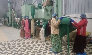 विशेष लेख : सशक्त मानसिकता से आत्मनिर्भरता की ओर: पोषण निर्माण में अहम भूमिका निभा रही हैं सूरजपुर की महिलाएं  