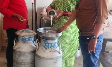 श्वेत क्रांति की नई पहचान धमतरी जिला 