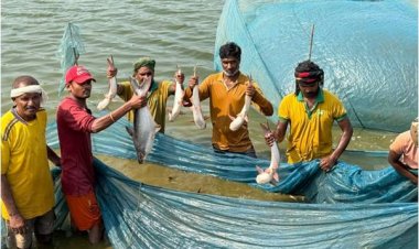 प्रधानमंत्री मत्स्य सम्पदा योजना से जिले में आई मत्स्य क्रांति