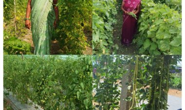 राष्ट्रीय ग्रामीण आजीविका मिशन: कर्ज के बोझ से मुक्त होकर आत्मनिर्भर बनी सुष्मिता जाटवर