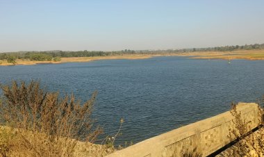 सूरजपुर : परशुरामपुर जलाशय से चार गांवों के किसानों को मिल रहा सिंचाई का लाभ