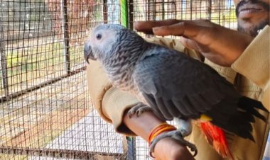 जगदलपुर के लामनी एवीयरी में नए मेहमानों का हुआ स्वागत