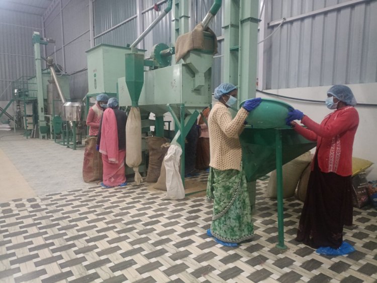 विशेष लेख : सशक्त मानसिकता से आत्मनिर्भरता की ओर: पोषण निर्माण में अहम भूमिका निभा रही हैं सूरजपुर की महिलाएं  