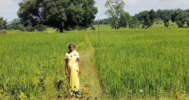 वनांचल के मेहनतकश वनवासी चेहरों पर आई आर्थिक लाभ की मुस्कान  