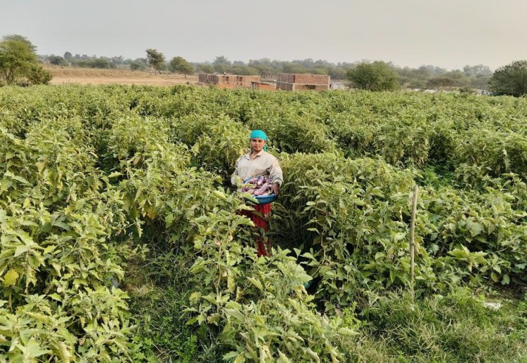 बिहान योजना से आत्मनिर्भर बनीं द्रौपती बांधे बनी लखपति दीदी