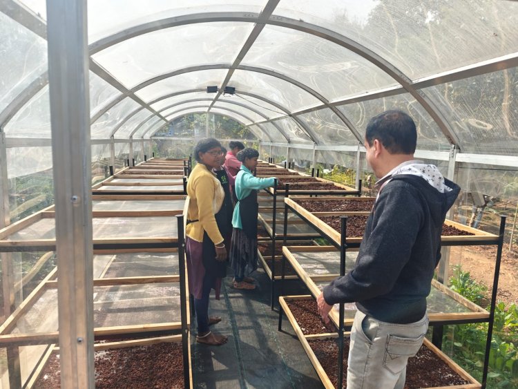 DST प्रायोजित परियोजना से जशपुर में महुआ व वनौषधियों के प्रसंस्करण को मिला वैज्ञानिक आधार