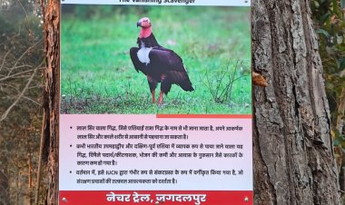 गार्बेज से गौरव तक: डंपिंग ग्राउंड से बनी ‘जनजातीय गौरव वाटिका’