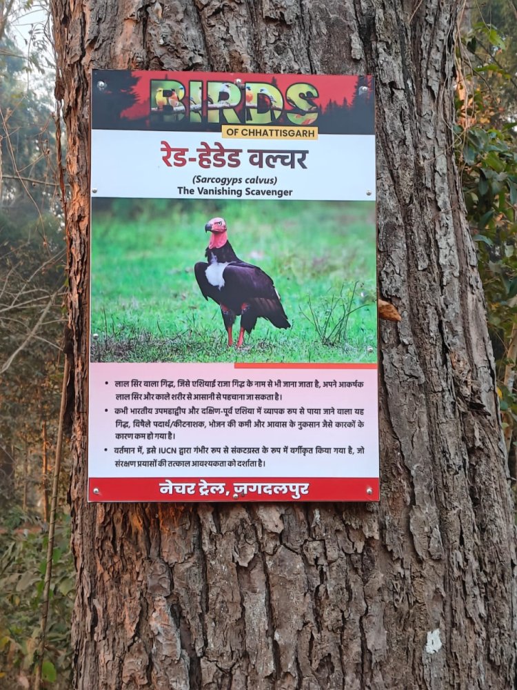 गार्बेज से गौरव तक: डंपिंग ग्राउंड से बनी ‘जनजातीय गौरव वाटिका’