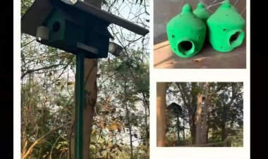 विश्व गौरैया दिवस पर वेबीनार आयोजित : संरक्षण के लिए जागरूकता पर जोर