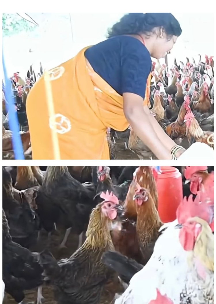 धमतरी : आजीविका मिशन से बदली तस्वीर: चर्रा की योगेश्वरी देवांगन बनीं महिला सशक्तिकरण की प्रेरणा