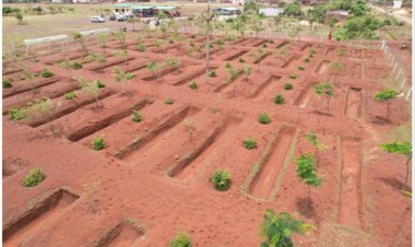 जल संरक्षण की दिशा में दुर्ग जिले की बड़ी उपलब्धि