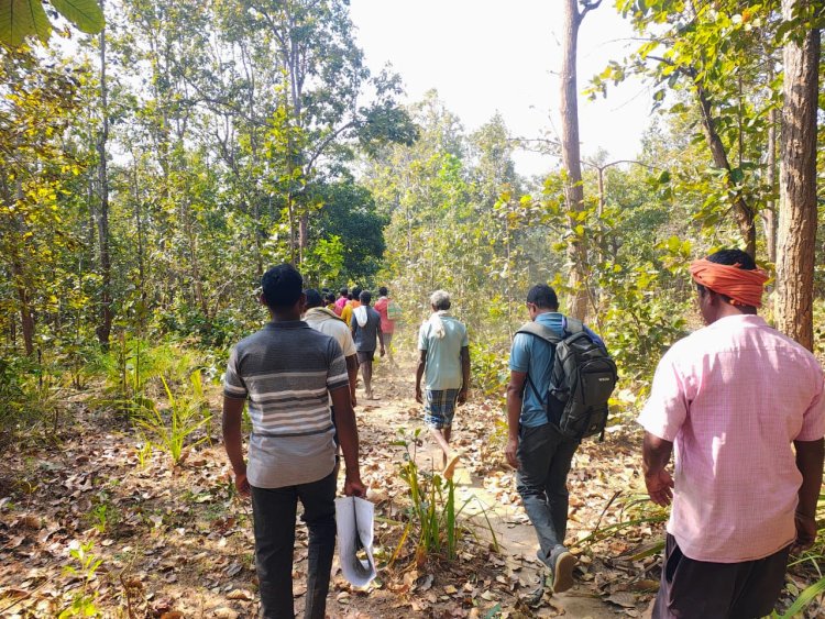 बाघ गणना का कार्य सफलतापूर्वक संपन्न